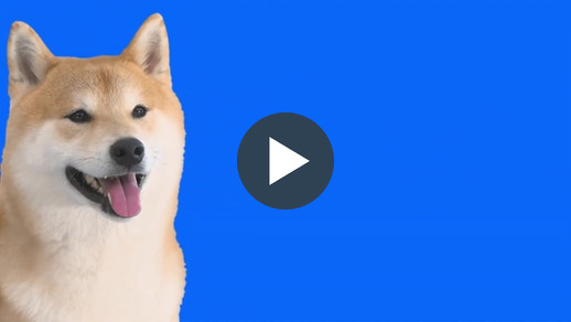 Pet Insurance Teaser video