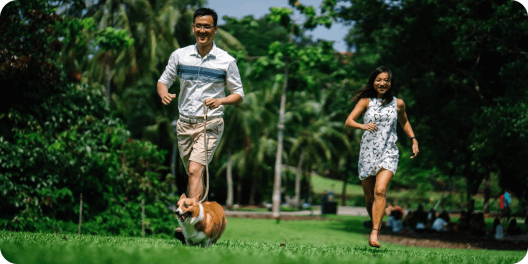 Pet insurance (2)