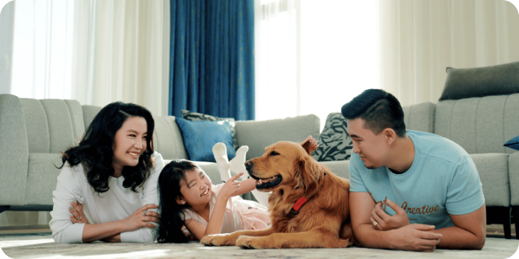 pet insurance