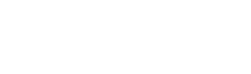 Bitnovel_Logo_grey-1